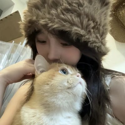 被解放的蠢朋克